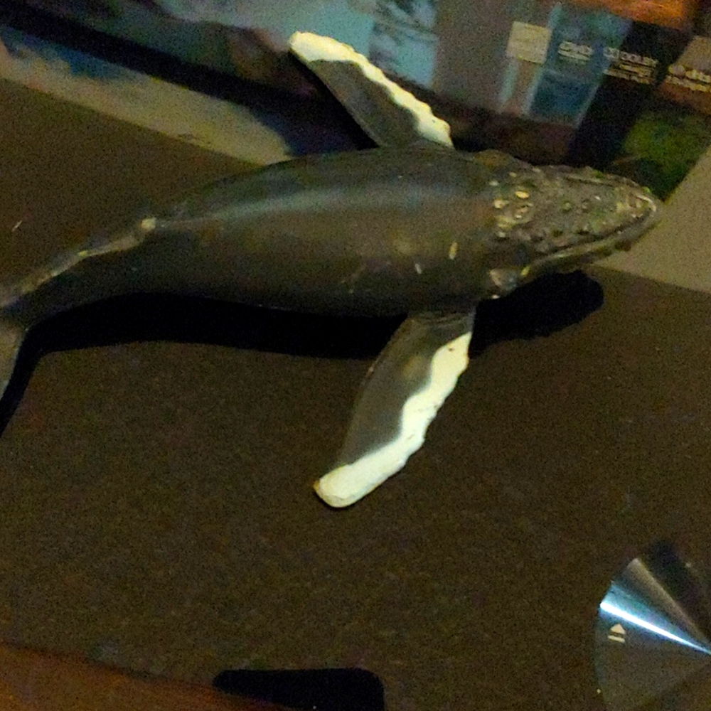 Blue back whale